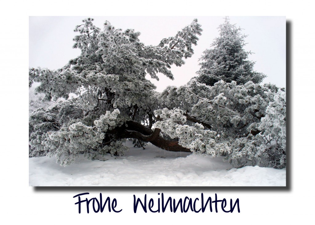 Winter am Kahlen Asten